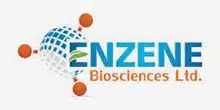 EnZENE.webp